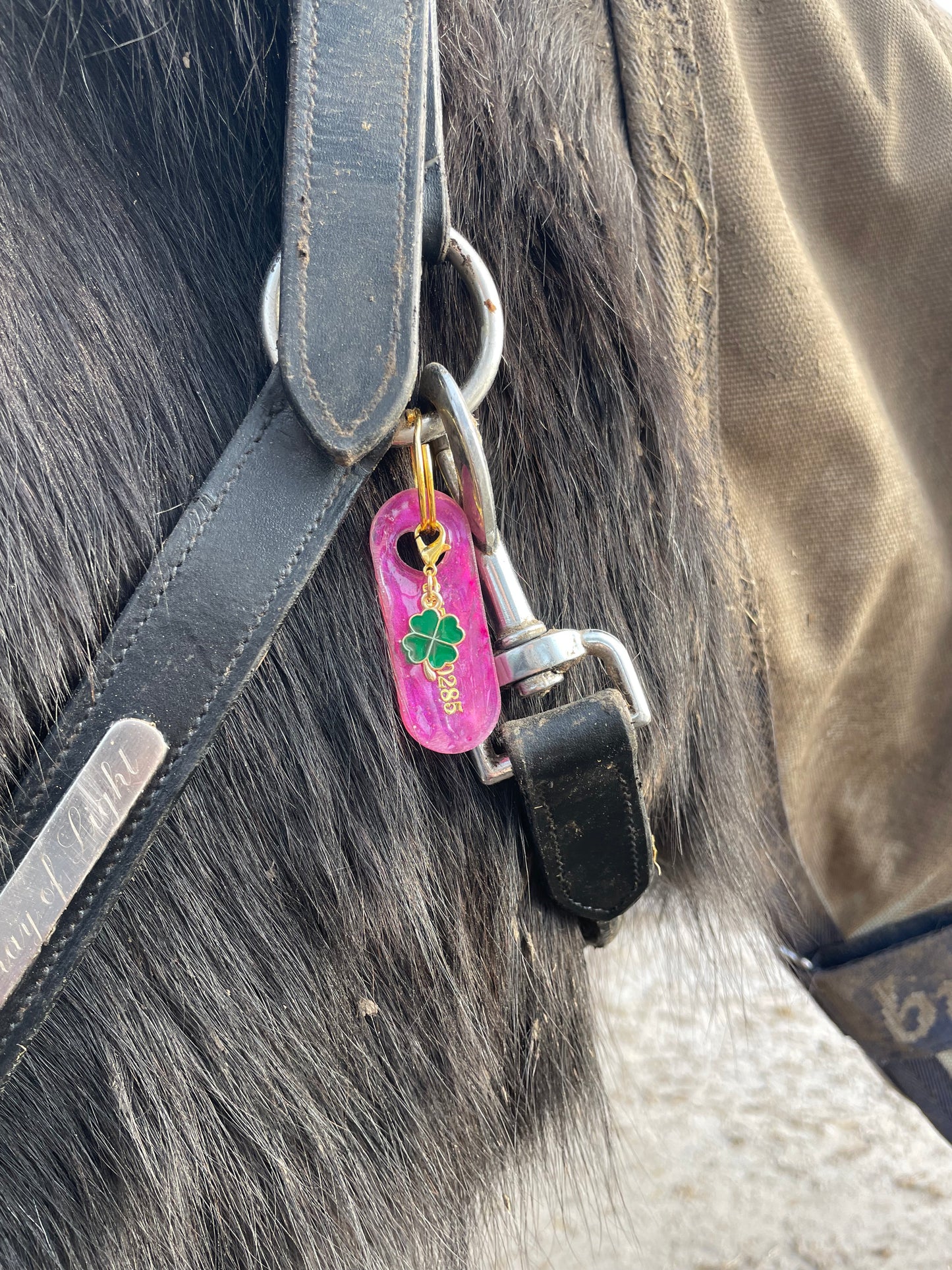 Call My Human - médaille